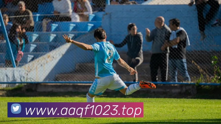 压球首页平台生态图