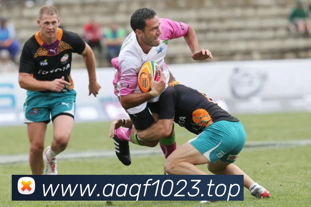 数据防护可视化